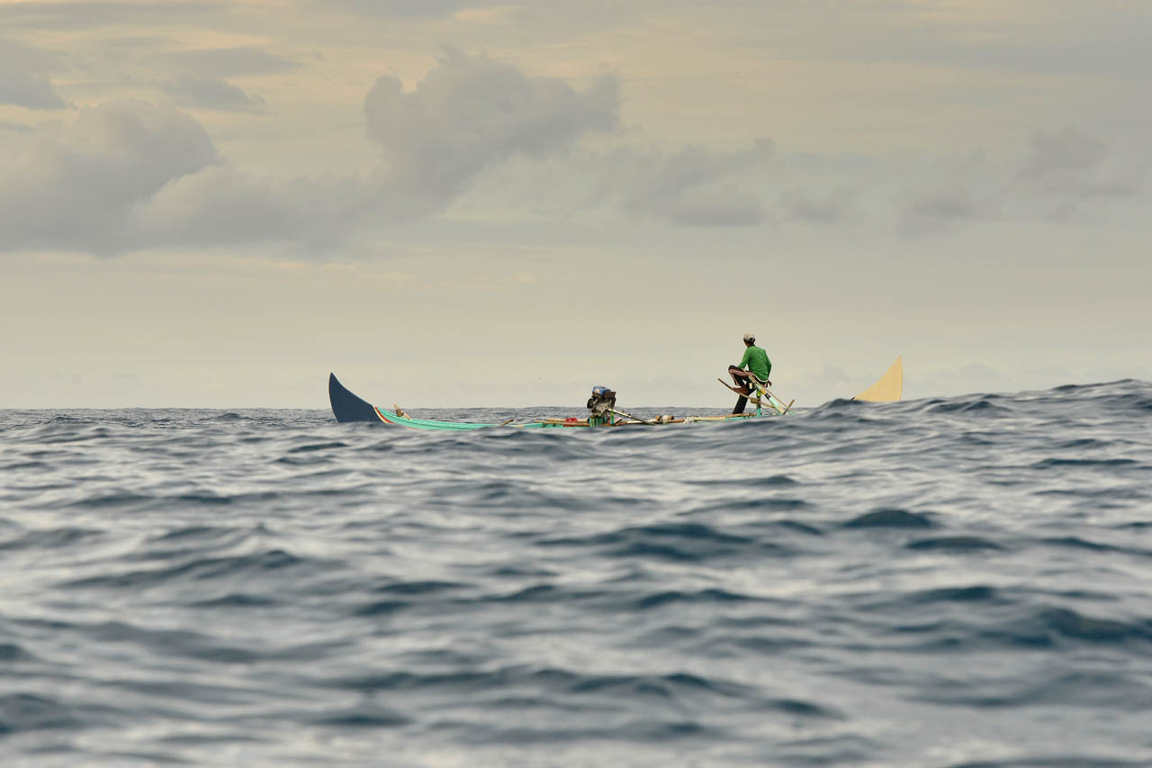Tur lumba-lumba, mencari lumba-lumba liar di habitat aslinya. Teluk Kiluan. 2