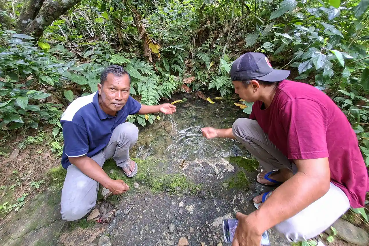 Foto Hutan yang Pulih Waktu yang Kembali Catatan dari Desa Bangun Rejo - Agroforestri - Yopie Pangkey 1
