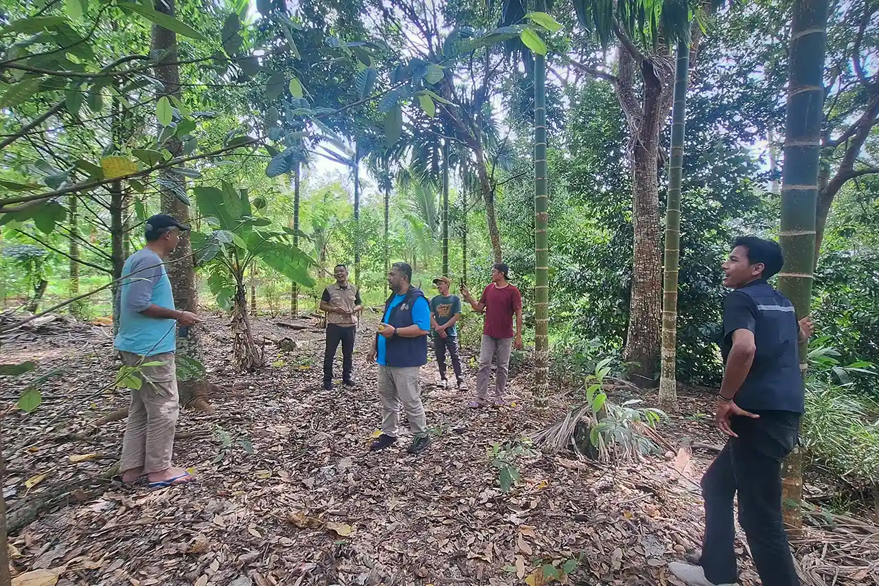 Foto Hutan yang Pulih Waktu yang Kembali Catatan dari Desa Bangun Rejo - Agroforestri - Yopie Pangkey 3