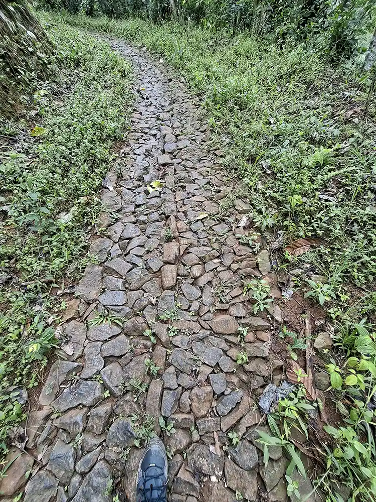Idoy dan Hutan Kemiri Cerita dari Lereng Sunyi Register 21 Bumiayu Babakan Loa - Yopie Pangkey 1