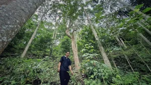 Idoy dan Hutan Kemiri Cerita dari Lereng Sunyi Register 21 Bumiayu Babakan Loa - Yopie Pangkey 3