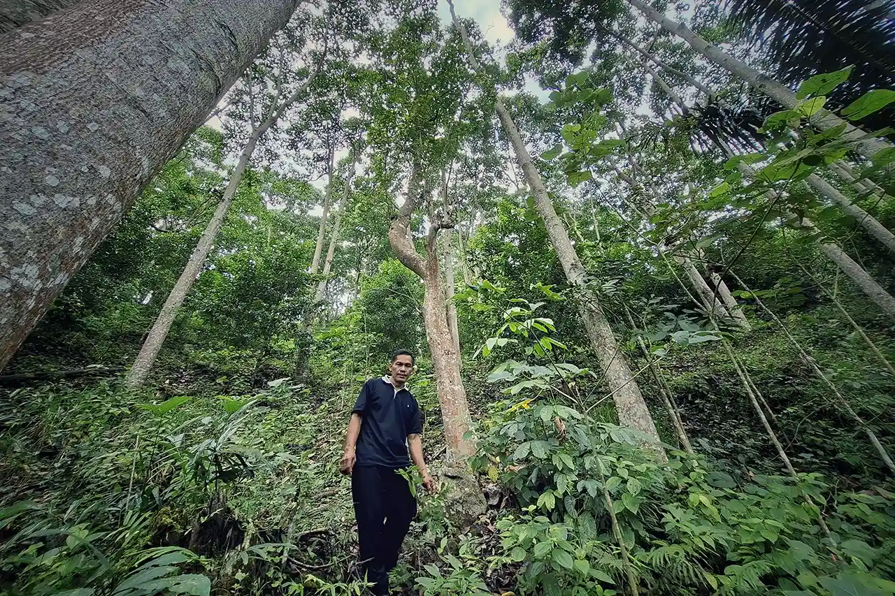 Idoy dan Hutan Kemiri Cerita dari Lereng Sunyi Register 21 Bumiayu Babakan Loa - Yopie Pangkey 3