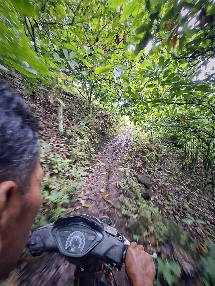 Idoy dan Hutan Kemiri Cerita dari Lereng Sunyi Register 21 Bumiayu Babakan Loa - Yopie Pangkey 6