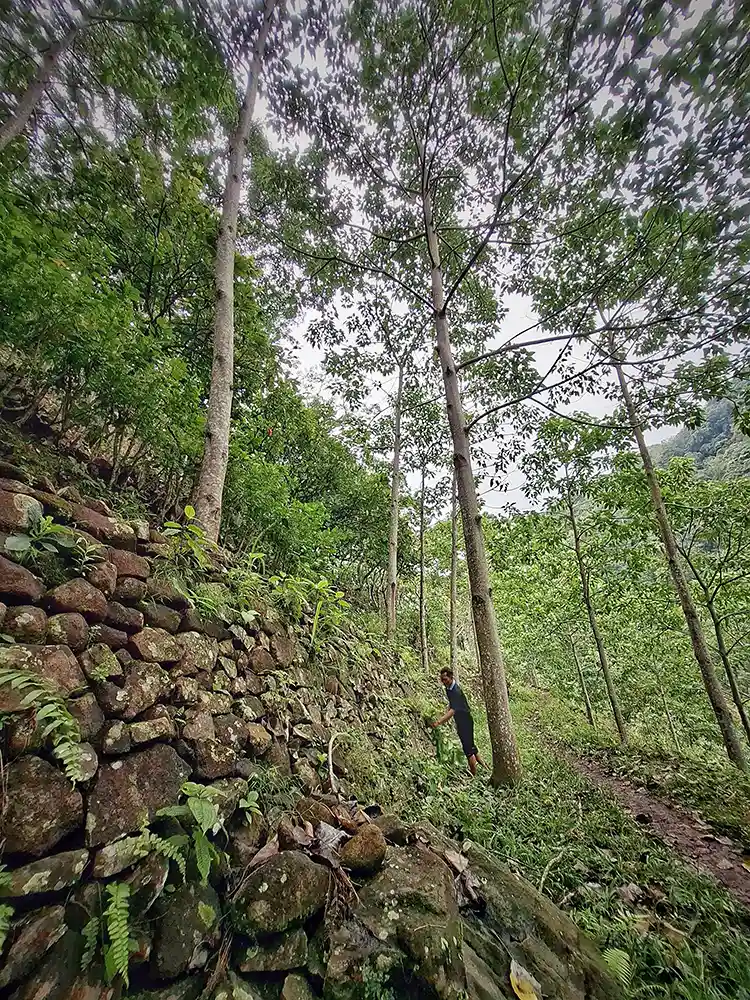 Idoy dan Hutan Kemiri Cerita dari Lereng Sunyi Register 21 Bumiayu Babakan Loa - Yopie Pangkey 7